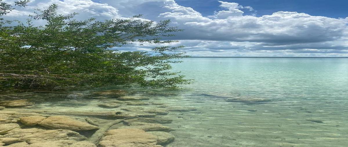 Foto de terreno habitacional en venta en  , aarón merino [colonia], bacalar, quintana roo, 0 No. 04